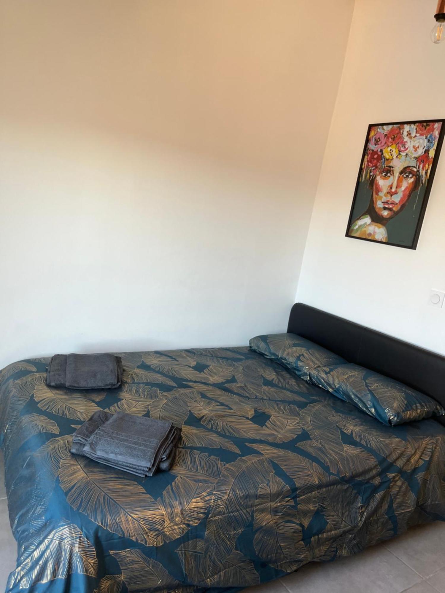 Charmant Appartement Climatise Quartier Las Cobas แปร์ปินญอง ภายนอก รูปภาพ